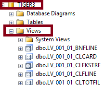 sql view nerede tutulur