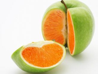 uygulamanın sürümüyle veritabanının sürümü farklı